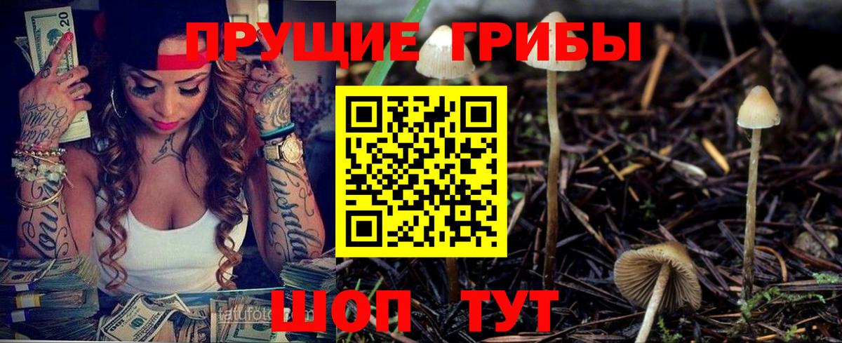 Псилоцибиновые грибы Cubensis  Галлюциногенные грибы Psilocybe  Краснокаменск  Вход с VPN 