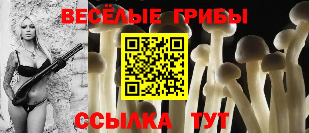 Галлюциногенные грибы GOLDEN TEACHER Краснокаменск